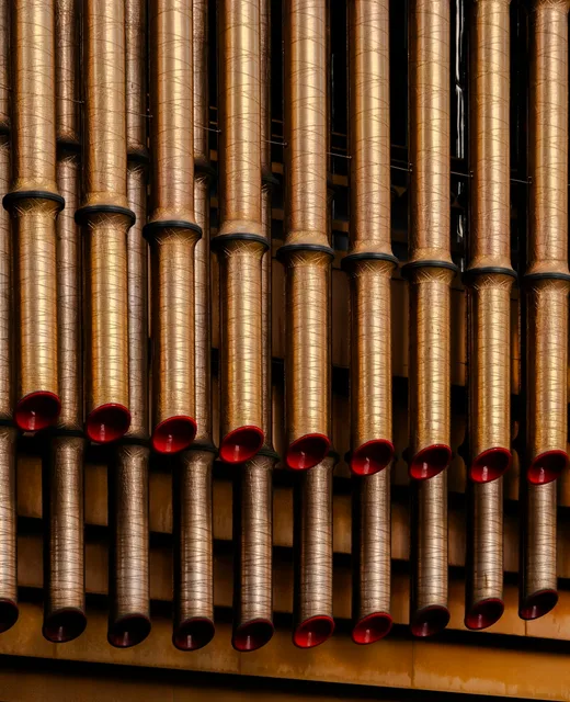 Orchestral instruments arranged together — warm instrument photography