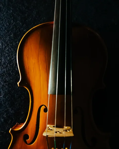 Violin strings close up — warm instrument detail